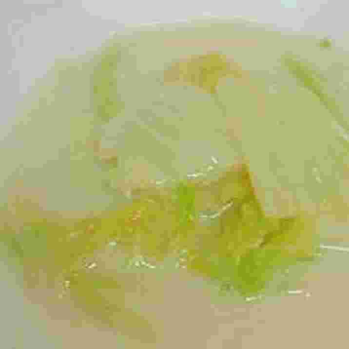 白菜だけのミルクスープ