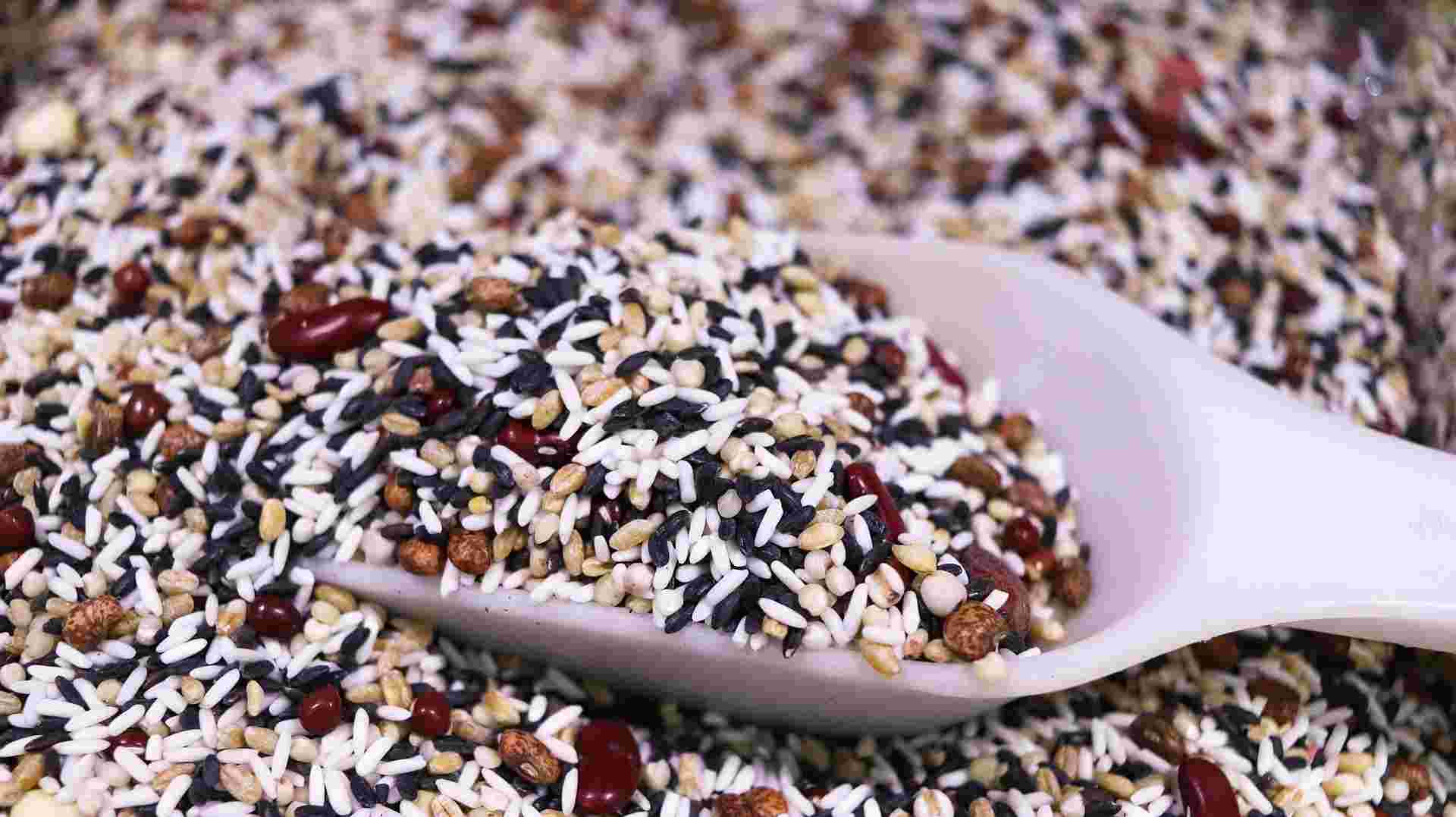 プラスチックのスプーンですくった雑穀米