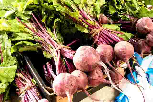 珍しい野菜の紫大根