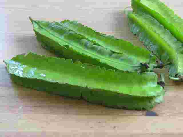 珍しい野菜のシカクマメ