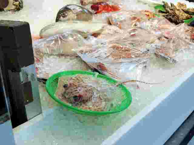 ホンオフェの食材となる鮮魚コーナーにあるエイと他の魚