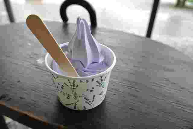 カップに入ったラベンダーソフトクリーム