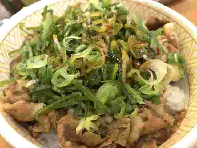 ネギをトッピングした牛丼