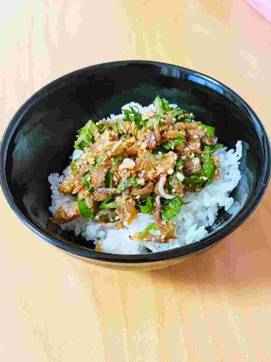 なめろうを乗せた丼